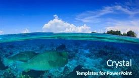  Presentation with malaysia - Slide set consisting of bumphead parrotfish at sipadan island background and a ocean colored foreground