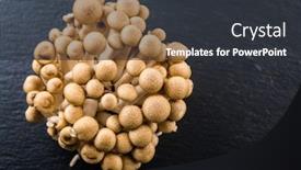  Presentation with asia - Presentation featuring buna shimeji - edible mushroom from east asia background and a dark gray colored foreground