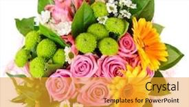  Presentation with bright colorful candy isolated - Slides consisting of bunch - bright bouquet shot from above background and a gold colored foreground