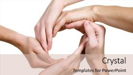  Presentation with group of wildlife crocodile isolated - Slide set enhanced with table tennis rackets on blackboard background background and a ocean colored foreground