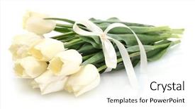  Presentation with history earth globe isolated white - Colorful presentation enhanced with bunch flowers - beautiful tulips isolated on white backdrop and a white colored foreground