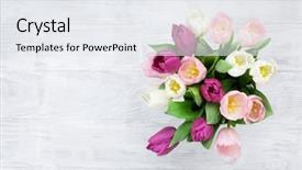  Presentation with empty of wood table top - Cool new PPT theme with bunch flowers - colorful tulips bouquet on wooden backdrop and a white colored foreground
