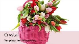  Presentation with cane - Beautiful slides featuring bunch flowers - pink cane basket with bouquet backdrop and a  colored foreground