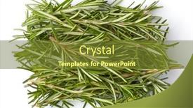  Presentation with bunch - Presentation design consisting of bunch-fresh-rosemary-top-view background and a tawny brown colored foreground