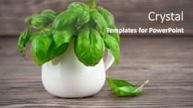  Presentation with bunch - Presentation theme featuring bunch-green-basil-on-wooden background and a dark gray colored foreground