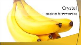  Presentation with green bananas hanging on banana - Amazing slides having bunch of bananas isolated backdrop and a white colored foreground