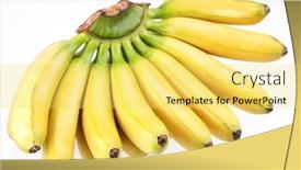  Presentation with bunch - 