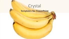  Presentation with bunch - 