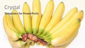  Presentation with bunch - 