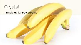  Presentation with bunch - 