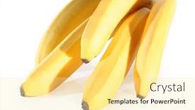  Presentation with bunch - 