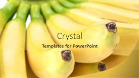  Presentation with bunch - 