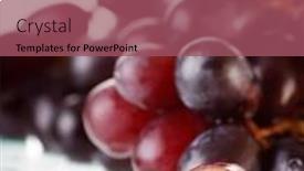  Presentation with bunch - Slide deck having bunch-of-black-grapes background and a violet colored foreground