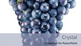  Presentation with grape - Slide set featuring bunch-of-blue-grape background and a  colored foreground