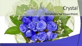  Presentation with blue rose - Beautiful presentation theme featuring bunch of blue rose flowers backdrop and a soft green colored foreground