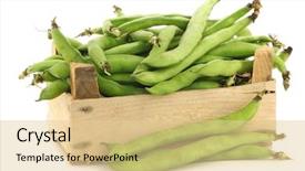  Presentation with broad - Presentation design consisting of bunch of broad beans in a wooden box on a white background background and a lemonade colored foreground
