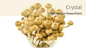  Presentation with bunch - Beautiful PPT layouts featuring bunch-of-brown-beech-mushrooms backdrop and a blonde colored foreground