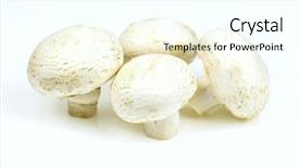  Presentation with button mushroom fresh mushroom - Presentation theme enhanced with bunch of button mushrooms background and a white colored foreground