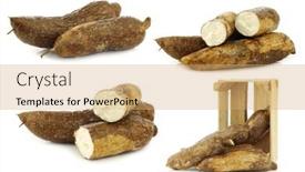  Presentation with cassava - Slide set having bunch-of-cassava-roots background and a coral colored foreground