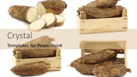  Presentation with cassava - PPT layouts featuring bunch-of-cassava-roots background and a coral colored foreground