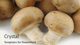  Presentation with champignon mushroom - Presentation design featuring bunch of champignon mushrooms background and a  colored foreground