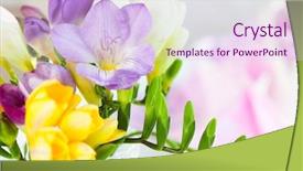  Presentation with purple flowers - Cool new PPT layouts with florida - fort lauderdale beach morning sunrise backdrop and a tawny brown colored foreground.