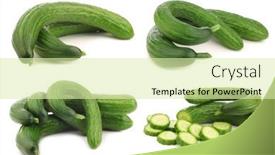  Presentation with cucumbers - PPT layouts enhanced with bunch-of-curly-turkish-cucumbers background and a soft green colored foreground