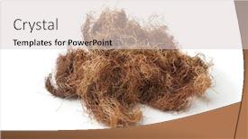  Presentation with silk - Cool new theme with bunch-of-dried-corn-silk backdrop and a lemonade colored foreground