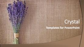  Presentation with lavender flowers - Amazing slides having bunch of dried lavender flowers backdrop and a coral colored foreground