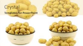  Presentation with enamel - Amazing slide deck having bunch-of-dutch-seed-potatoes backdrop and a yellow colored foreground