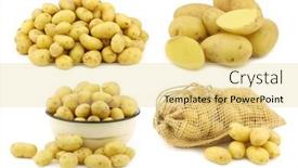  Presentation with enamel - Audience pleasing slide deck consisting of bunch-of-dutch-seed-potatoes backdrop and a blonde colored foreground