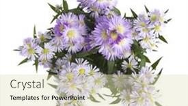  Presentation with white flowers - PPT layouts featuring bunch-of-flowers-isolated background and a soft green colored foreground