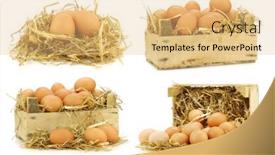  Presentation with straw - Beautiful PPT layouts featuring bunch-of-fresh-brown-eggs backdrop and a yellow colored foreground