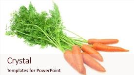  Presentation with bunch - Audience pleasing presentation theme consisting of bunch of fresh carrot backdrop and a lemonade colored foreground