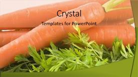  Presentation with carrots - Presentation theme enhanced with bunch of fresh carrots isolated on white background background and a coral colored foreground