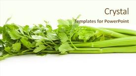  Presentation with process division of cell isolated - PPT layouts consisting of bunch of fresh celery stalk background and a cream colored foreground