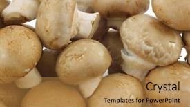  Presentation with button mushroom fresh mushroom - Beautiful slide set featuring bunch of fresh champignon mushroom backdrop and a  colored foreground