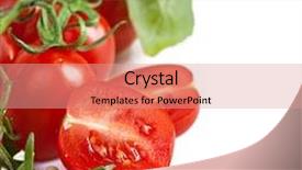  Presentation with bunch - Slide deck featuring bunch of fresh cherry tomato with basil on white background background and a coral colored foreground
