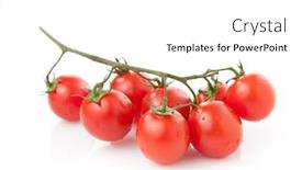  Presentation with tomato - PPT layouts featuring bunch of fresh cherry tomato background and a white colored foreground