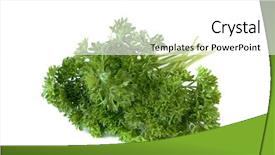  Presentation with bunch - PPT layouts having bunch of fresh green curly parsley isolated on white background and a white colored foreground