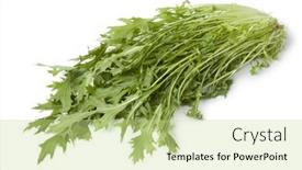  Presentation with white green - PPT theme consisting of bunch-of-fresh-green-mizuna background and a mint green colored foreground