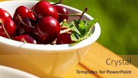  Presentation with bunch - 