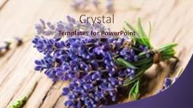  Presentation with lavender flowers - Slides enhanced with bunch-of-fresh-lavandula background and a lemonade colored foreground