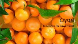  Presentation with mandarin oranges - Theme enhanced with bunch of fresh mandarin oranges background and a gold colored foreground