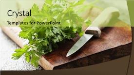  Presentation with bunch - Cool new PPT layouts with close up uncooked green - bunch of fresh parsley backdrop and a yellow colored foreground