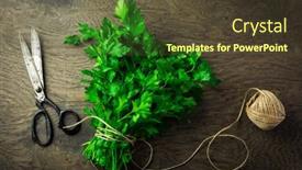  Presentation with bunch - Slides having bunch-of-fresh-parsley background and a tawny brown colored foreground