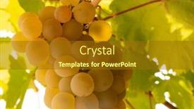  Presentation with bunch - Slide set featuring bunch-of-fresh-rape-grapes background and a tawny brown colored foreground