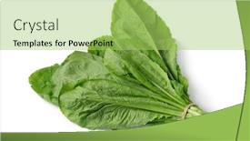  Presentation with bunch - Audience pleasing theme consisting of bunch-of-fresh-raw-amsoi backdrop and a yellow colored foreground