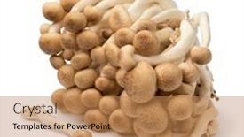  Presentation with bunch - PPT theme featuring bunch-of-fresh-raw-asian background and a coral colored foreground