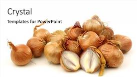  Presentation with bunch - Slides consisting of young man in beauty salon background and a gray colored foreground